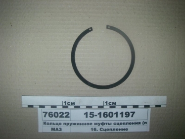 Кольцо пружинное муфты сцепления  - 15-1601197 (Беларусь)